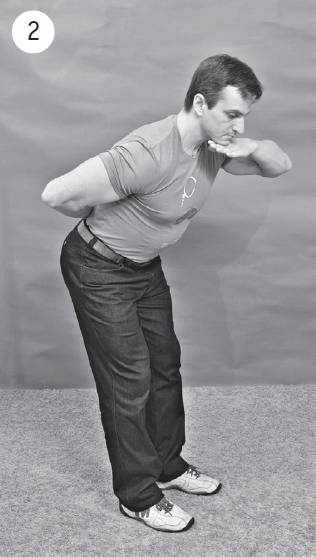 Иллюстрация к книге — Система "Живая осанка". Уникальный курс постановки осанки за 30 дней [Autogen_eBook_id201.jpg]