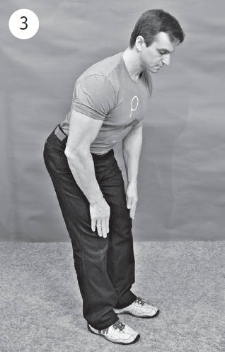 Иллюстрация к книге — Система "Живая осанка". Уникальный курс постановки осанки за 30 дней [Autogen_eBook_id202.jpg]