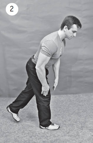 Иллюстрация к книге — Система "Живая осанка". Уникальный курс постановки осанки за 30 дней [Autogen_eBook_id204.jpg]