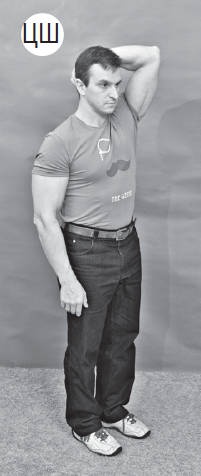 Иллюстрация к книге — Система "Живая осанка". Уникальный курс постановки осанки за 30 дней [Autogen_eBook_id208.jpg]