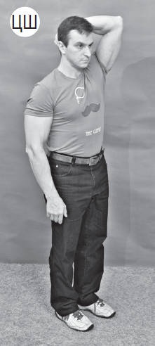 Иллюстрация к книге — Система "Живая осанка". Уникальный курс постановки осанки за 30 дней [Autogen_eBook_id212.jpg]