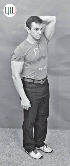 Иллюстрация к книге — Система "Живая осанка". Уникальный курс постановки осанки за 30 дней [Autogen_eBook_id217.jpg]