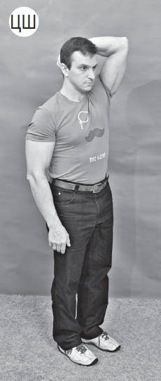 Иллюстрация к книге — Система "Живая осанка". Уникальный курс постановки осанки за 30 дней [Autogen_eBook_id222.jpg]