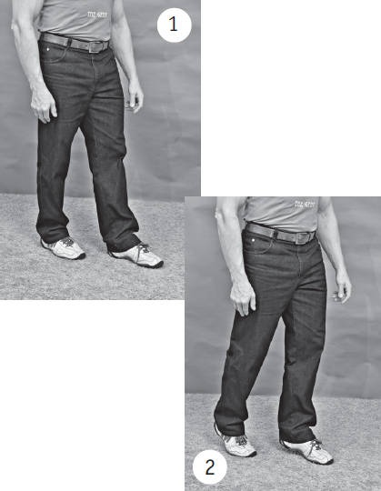 Иллюстрация к книге — Система "Живая осанка". Уникальный курс постановки осанки за 30 дней [Autogen_eBook_id223.jpg]