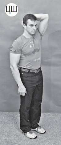 Иллюстрация к книге — Система "Живая осанка". Уникальный курс постановки осанки за 30 дней [Autogen_eBook_id224.jpg]