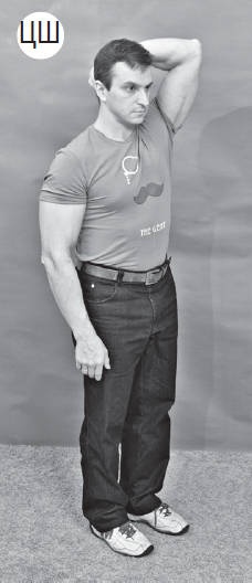 Иллюстрация к книге — Система "Живая осанка". Уникальный курс постановки осанки за 30 дней [Autogen_eBook_id227.jpg]