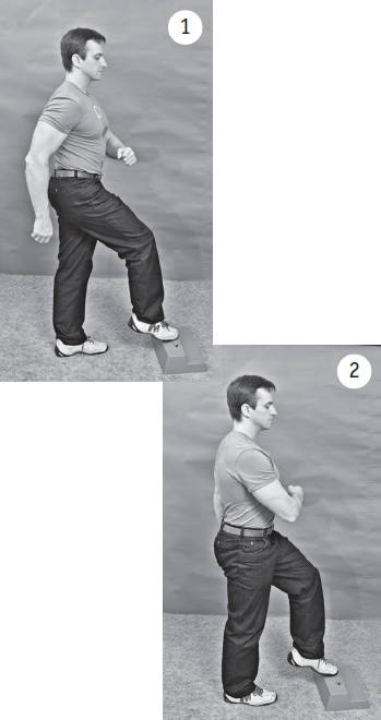 Иллюстрация к книге — Система "Живая осанка". Уникальный курс постановки осанки за 30 дней [Autogen_eBook_id228.jpg]