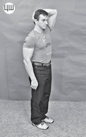 Иллюстрация к книге — Система "Живая осанка". Уникальный курс постановки осанки за 30 дней [Autogen_eBook_id229.jpg]