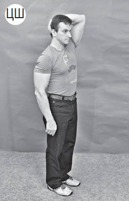 Иллюстрация к книге — Система "Живая осанка". Уникальный курс постановки осанки за 30 дней [Autogen_eBook_id231.jpg]