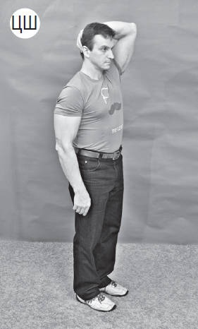 Иллюстрация к книге — Система "Живая осанка". Уникальный курс постановки осанки за 30 дней [Autogen_eBook_id234.jpg]