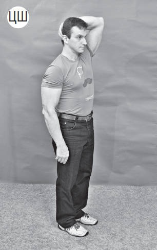 Иллюстрация к книге — Система "Живая осанка". Уникальный курс постановки осанки за 30 дней [Autogen_eBook_id239.jpg]