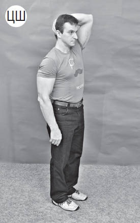 Иллюстрация к книге — Система "Живая осанка". Уникальный курс постановки осанки за 30 дней [Autogen_eBook_id241.jpg]