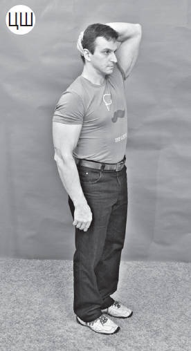 Иллюстрация к книге — Система "Живая осанка". Уникальный курс постановки осанки за 30 дней [Autogen_eBook_id243.jpg]