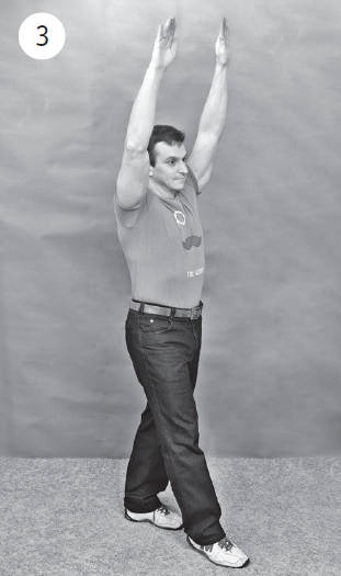 Иллюстрация к книге — Система "Живая осанка". Уникальный курс постановки осанки за 30 дней [Autogen_eBook_id246.jpg]