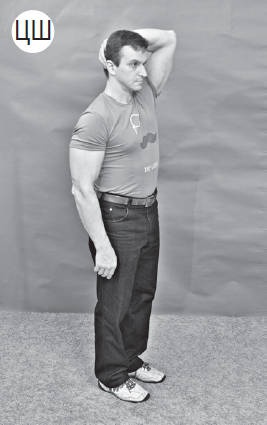 Иллюстрация к книге — Система "Живая осанка". Уникальный курс постановки осанки за 30 дней [Autogen_eBook_id247.jpg]