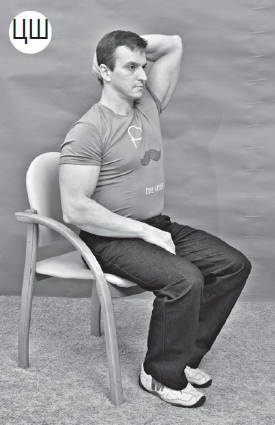 Иллюстрация к книге — Система "Живая осанка". Уникальный курс постановки осанки за 30 дней [Autogen_eBook_id250.jpg]