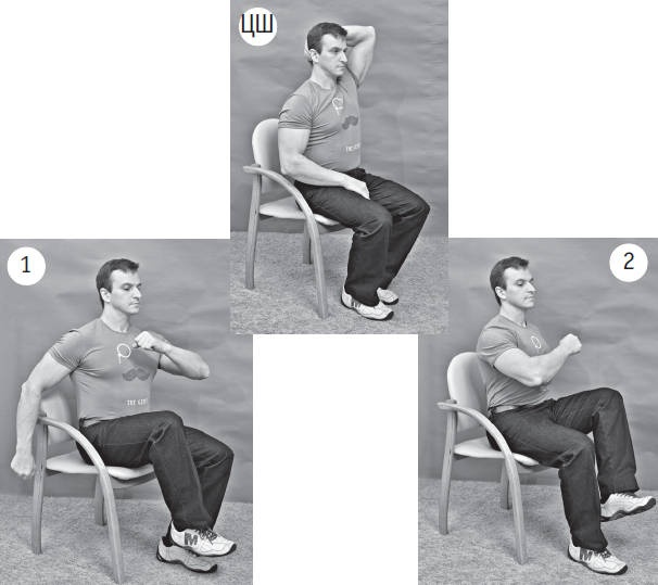 Иллюстрация к книге — Система "Живая осанка". Уникальный курс постановки осанки за 30 дней [Autogen_eBook_id254.jpg]