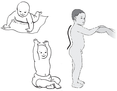 Иллюстрация к книге — Система "Живая осанка". Уникальный курс постановки осанки за 30 дней [Autogen_eBook_id26.jpg]