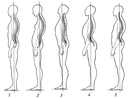 Иллюстрация к книге — Система "Живая осанка". Уникальный курс постановки осанки за 30 дней [Autogen_eBook_id29.jpg]