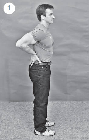 Иллюстрация к книге — Система "Живая осанка". Уникальный курс постановки осанки за 30 дней [Autogen_eBook_id311.jpg]