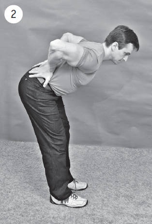 Иллюстрация к книге — Система "Живая осанка". Уникальный курс постановки осанки за 30 дней [Autogen_eBook_id312.jpg]