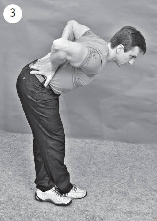 Иллюстрация к книге — Система "Живая осанка". Уникальный курс постановки осанки за 30 дней [Autogen_eBook_id313.jpg]