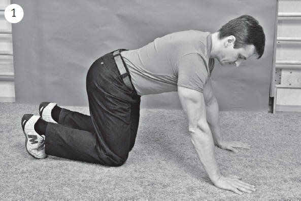 Иллюстрация к книге — Система "Живая осанка". Уникальный курс постановки осанки за 30 дней [Autogen_eBook_id314.jpg]