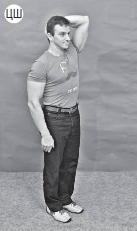 Иллюстрация к книге — Система "Живая осанка". Уникальный курс постановки осанки за 30 дней [Autogen_eBook_id323.jpg]