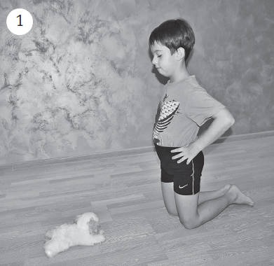 Иллюстрация к книге — Система "Живая осанка". Уникальный курс постановки осанки за 30 дней [Autogen_eBook_id325.jpg]