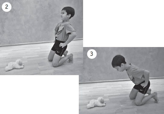 Иллюстрация к книге — Система "Живая осанка". Уникальный курс постановки осанки за 30 дней [Autogen_eBook_id326.jpg]