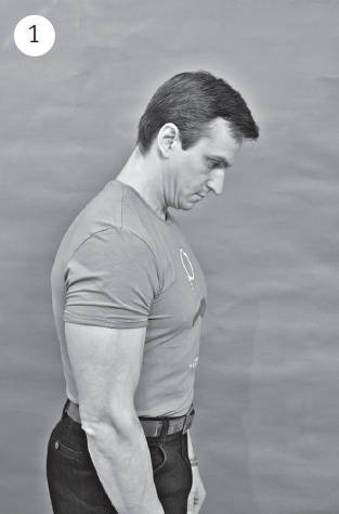 Иллюстрация к книге — Система "Живая осанка". Уникальный курс постановки осанки за 30 дней [Autogen_eBook_id33.jpg]