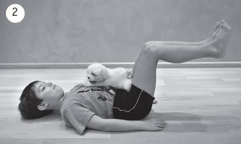 Иллюстрация к книге — Система "Живая осанка". Уникальный курс постановки осанки за 30 дней [Autogen_eBook_id330.jpg]