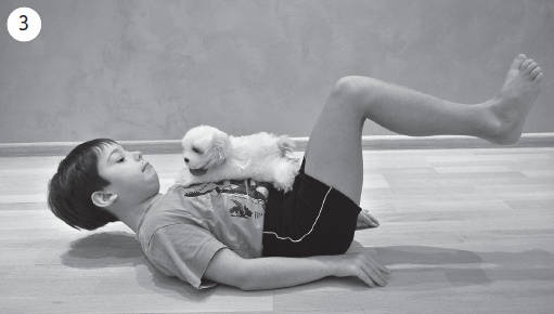 Иллюстрация к книге — Система "Живая осанка". Уникальный курс постановки осанки за 30 дней [Autogen_eBook_id331.jpg]