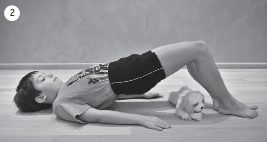 Иллюстрация к книге — Система "Живая осанка". Уникальный курс постановки осанки за 30 дней [Autogen_eBook_id334.jpg]