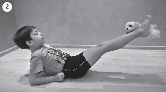 Иллюстрация к книге — Система "Живая осанка". Уникальный курс постановки осанки за 30 дней [Autogen_eBook_id339.jpg]