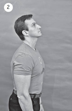 Иллюстрация к книге — Система "Живая осанка". Уникальный курс постановки осанки за 30 дней [Autogen_eBook_id34.jpg]