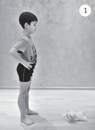 Иллюстрация к книге — Система "Живая осанка". Уникальный курс постановки осанки за 30 дней [Autogen_eBook_id340.jpg]