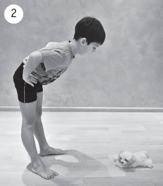 Иллюстрация к книге — Система "Живая осанка". Уникальный курс постановки осанки за 30 дней [Autogen_eBook_id341.jpg]