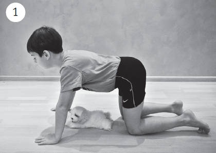 Иллюстрация к книге — Система "Живая осанка". Уникальный курс постановки осанки за 30 дней [Autogen_eBook_id342.jpg]