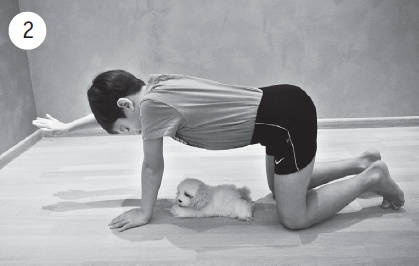 Иллюстрация к книге — Система "Живая осанка". Уникальный курс постановки осанки за 30 дней [Autogen_eBook_id343.jpg]