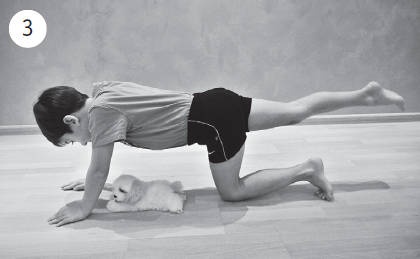 Иллюстрация к книге — Система "Живая осанка". Уникальный курс постановки осанки за 30 дней [Autogen_eBook_id344.jpg]