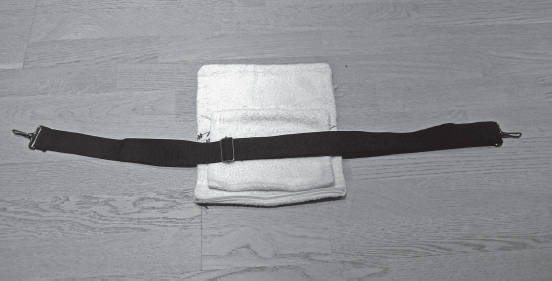 Иллюстрация к книге — Система "Живая осанка". Уникальный курс постановки осанки за 30 дней [Autogen_eBook_id354.jpg]