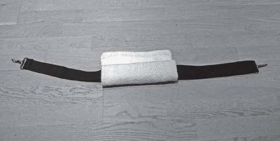 Иллюстрация к книге — Система "Живая осанка". Уникальный курс постановки осанки за 30 дней [Autogen_eBook_id356.jpg]