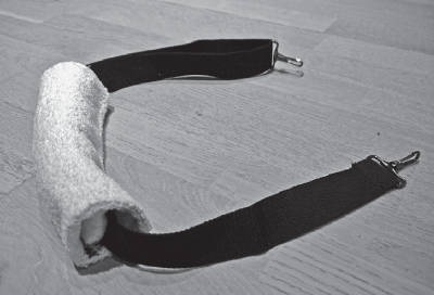 Иллюстрация к книге — Система "Живая осанка". Уникальный курс постановки осанки за 30 дней [Autogen_eBook_id357.jpg]