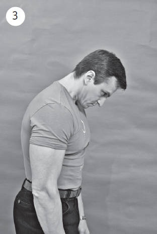 Иллюстрация к книге — Система "Живая осанка". Уникальный курс постановки осанки за 30 дней [Autogen_eBook_id36.jpg]