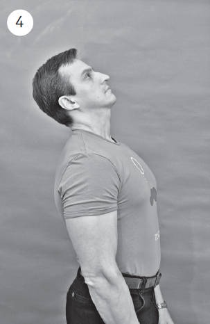 Иллюстрация к книге — Система "Живая осанка". Уникальный курс постановки осанки за 30 дней [Autogen_eBook_id37.jpg]