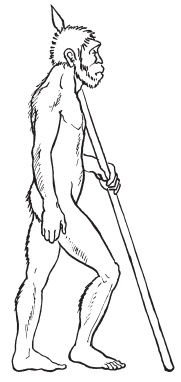 Иллюстрация к книге — Система "Живая осанка". Уникальный курс постановки осанки за 30 дней [Autogen_eBook_id4.jpg]