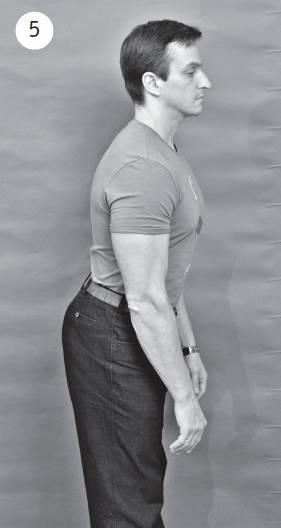 Иллюстрация к книге — Система "Живая осанка". Уникальный курс постановки осанки за 30 дней [Autogen_eBook_id43.jpg]