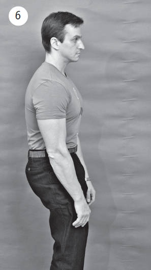 Иллюстрация к книге — Система "Живая осанка". Уникальный курс постановки осанки за 30 дней [Autogen_eBook_id44.jpg]