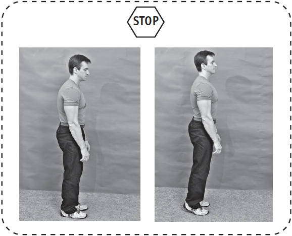 Иллюстрация к книге — Система "Живая осанка". Уникальный курс постановки осанки за 30 дней [Autogen_eBook_id82.jpg]